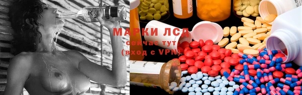 мяу мяу мука Верхний Тагил
